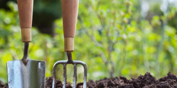 DT Brown Seeds: A Trusted Name for Gardeners and Growers