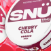 Why Pouch Central has become a fast-growing UK nicotine pouch retailer