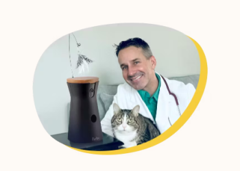 Why Furbo Stands Out in Smart Pet Care