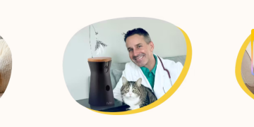 Why Furbo Stands Out in Smart Pet Care
