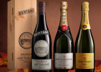 Vino: A Wide Selection of Italian and International Wines
