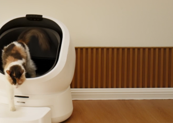 Petlibro: Smarter Feeding, Hydration and Everyday Pet Care