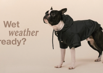 Barc London: Stylish Products Designed for Dogs and Their Owners