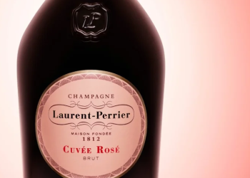 The Bottle Club: A Diverse World of Drinks in One Place