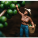 Owens Organic Coffee: Organic Beans, Exceptional Flavour and Responsible Sourcing