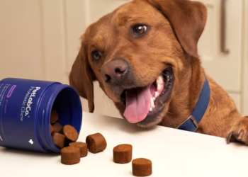 Everyday Pet Wellness with PetLab Co.