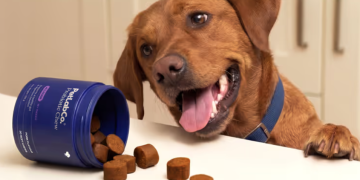 Everyday Pet Wellness with PetLab Co.